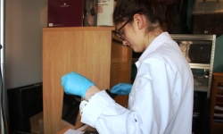 Work experience Private Detective