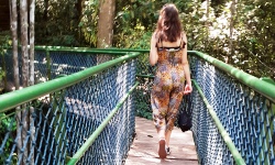 Private Investigator Work Experience