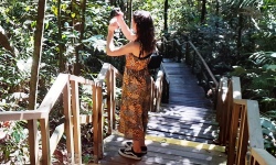 Private Investigator Work Experience