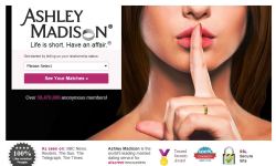 ashley madison data breach