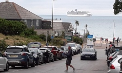 Local Private Investigator