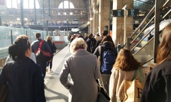 Corporate Investigation