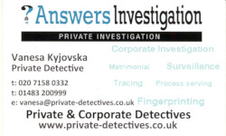 Private Investigator