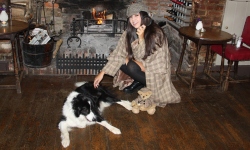 Sherlock Holmes Private Investigator