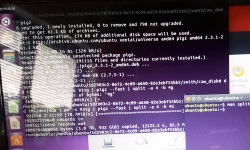 Private Investigator