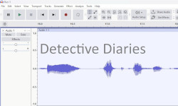 Private Detective Podcasts - Detective Diaries