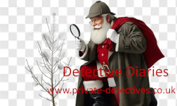 Private Detective Podcasts - Detective Diaries