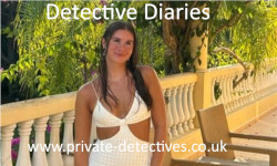 Private Detective Podcasts - Detective Diaries