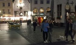 European Private Detective