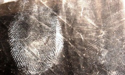 Fingerprinting Spain
