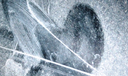 Forensic Investigation Techniquesr