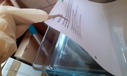 Hate Mail and Mailcious Mail