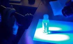 Fingerprinting