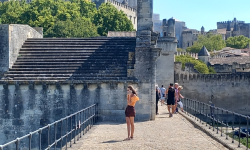 Investigation in Avignon