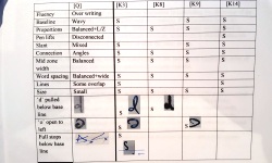 examinaing handwriting for evidence