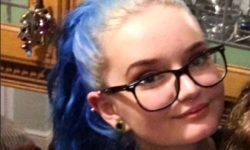 Private Investigator Work Experience