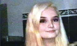 Private Investigator Work Experience