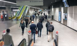 Private Investigator