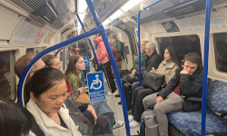 Private Investigator