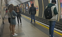 Private Investigator