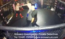Ultra MMA Private Investigator
