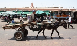 Private Investigator Détective Privé Marrakech