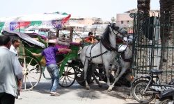Private Investigator Marrakech Détective Privé