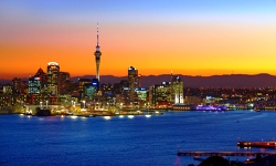 New Zealand Private Investigator