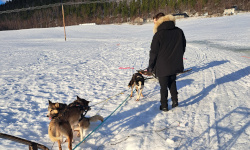 Norway tracing services