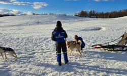 Private Detective Norway Oslo Tromso Norges privatdetektiv