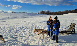 Private Detective Norway Oslo Tromso Norges privatdetektiv