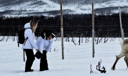 Private Detective Norway Oslo Tromso Norges privatdetektiv