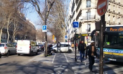 International Private Investigator