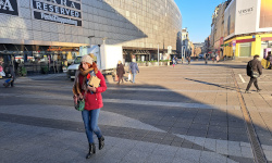 International Private Investigator