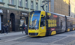 International Private Investigator