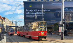 International Private Investigator