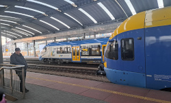 International Private Investigator