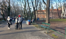 International Private Investigator