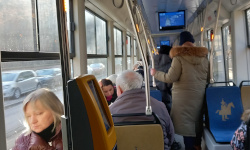 International Private Investigator