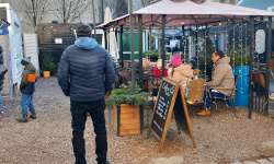 International Private Investigator