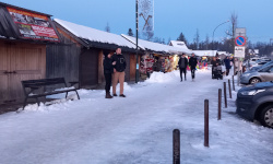 International Private Investigator