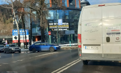 International Private Investigator