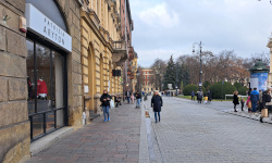 International Private Investigator