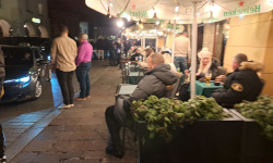 International Private Investigator