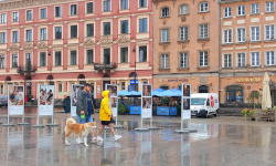 Private Detective Poland