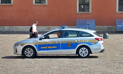 International Private Investigator