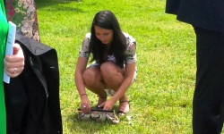 Private Investigator