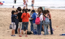 Private Investigation