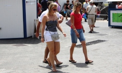 Private Investigator