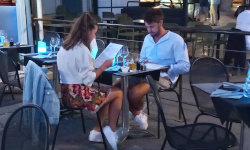 Private Investigator